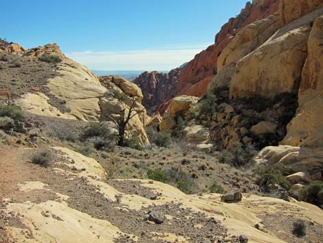 Calico Hills Loop Trail