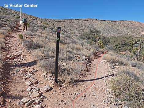 Calico Basin Loop Trail