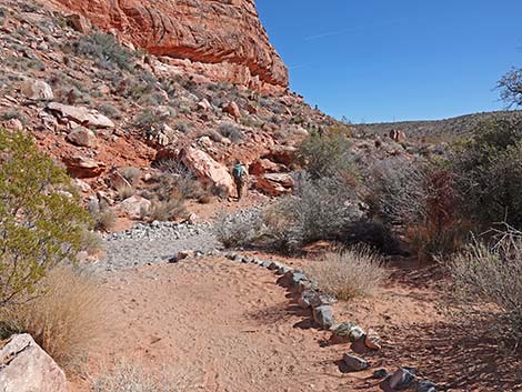 Calico Basin Overlook Trail