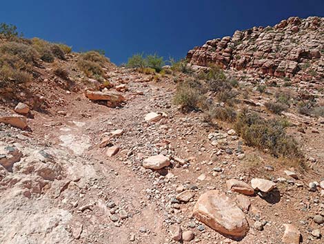 Calico Basin Overlook Trail