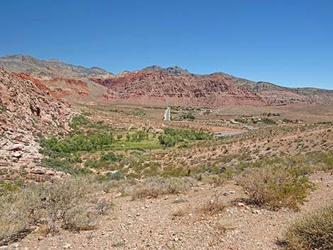 Calico Basin Overlook Trail