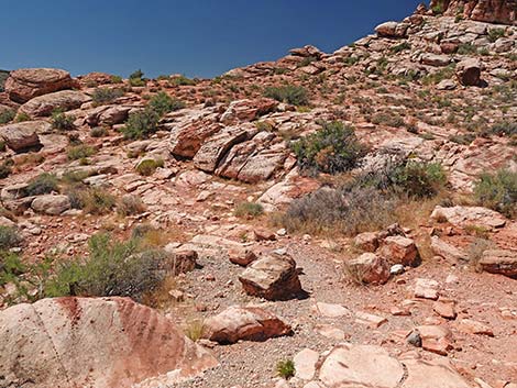 Calico Basin Overlook Trail