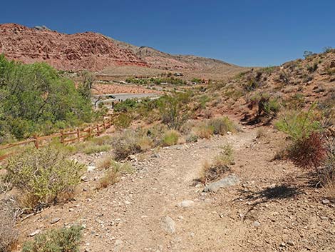 Calico Basin Overlook Trail