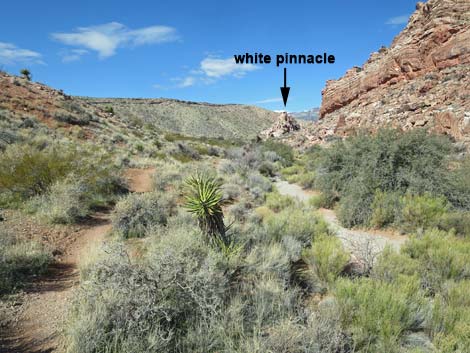 Calico Basin Overlook Trail