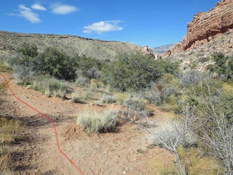 Calico Wash Trail