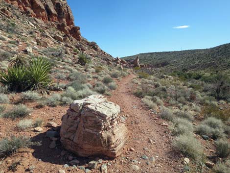 Calico Basin Overlook Trail