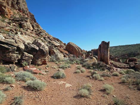 Calico Wash Trail