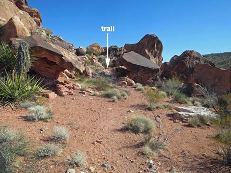 Calico Basin Overlook Trail