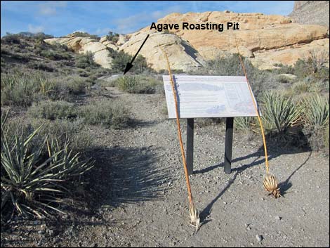 Calico Tanks Trail