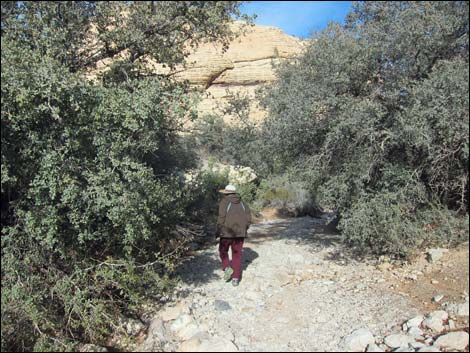 Calico Tanks Trail