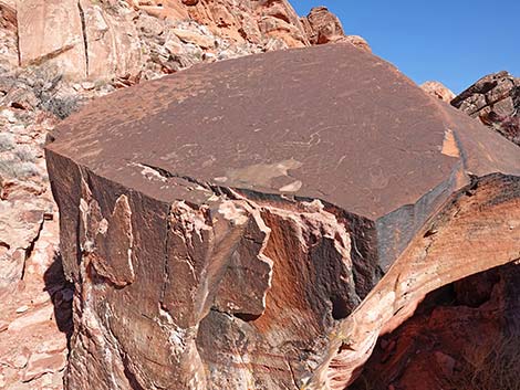 Calico Wash Trail