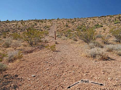 Calico Wash Trail