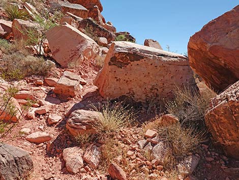 Calico Wash Trail