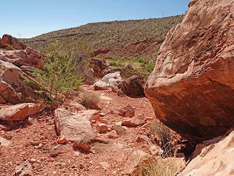 Calico Wash Trail