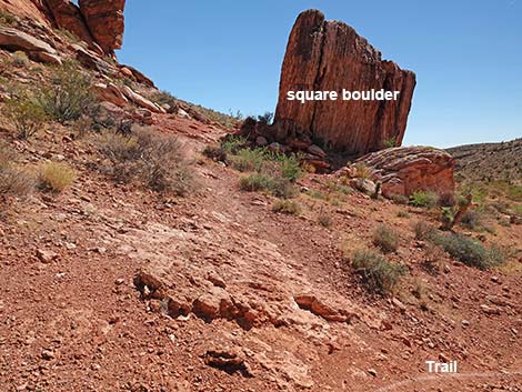 Calico Wash Trail