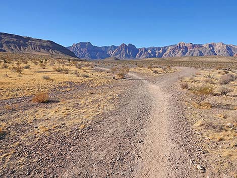 Fire Station Hill Trail