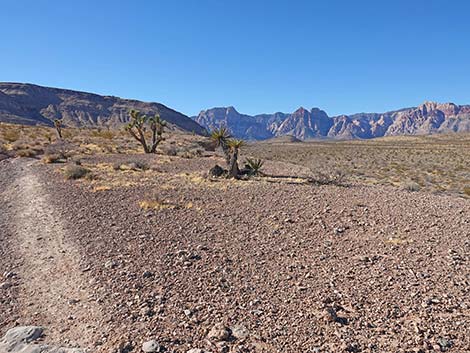 Fire Station Hill Trail