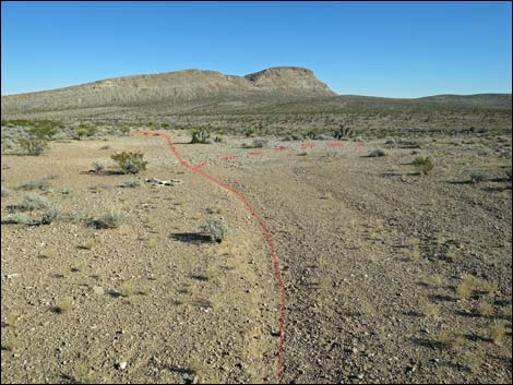 Campground Flats Loop Trail