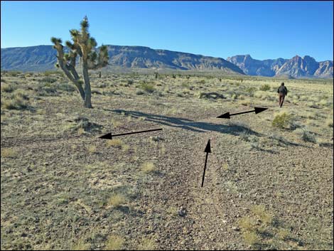 Campground Flats Loop Trail