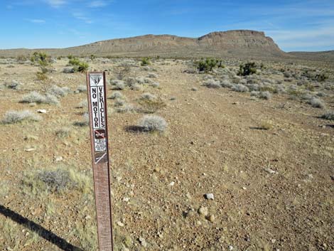 Gun Range Ridge Loop