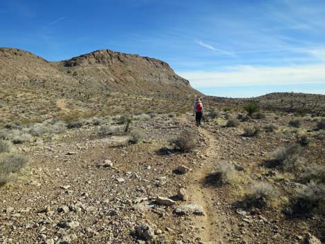 Gun Range Ridge Loop