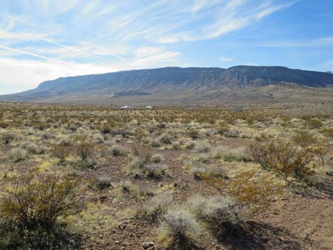 Gun Range Ridge Loop