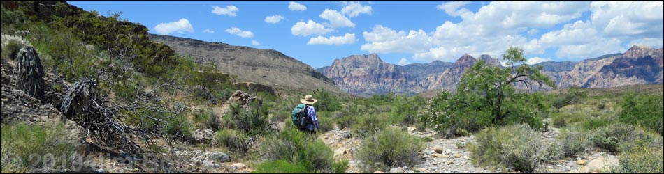 campground wash loop