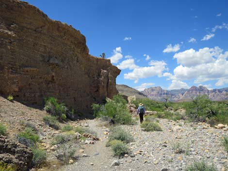 Campground Wash Trail