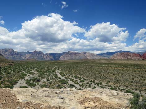 Campground Wash Trail