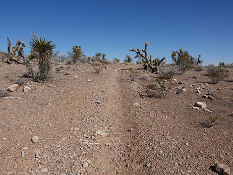 Entrance Station to Calico Basin Trail