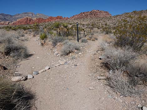 Entrance Station to Calico Basin Trail