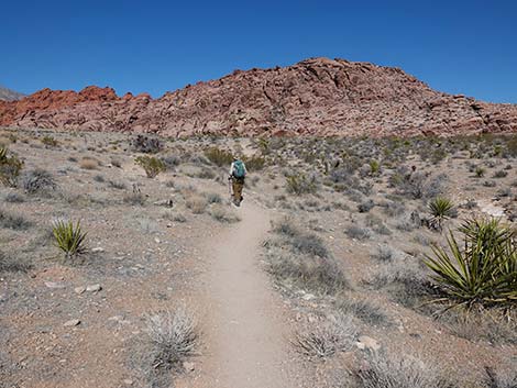 Entrance Station to Calico Basin Trail