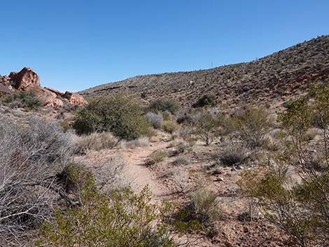 Entrance Station to Calico Basin Trail