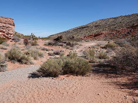 Entrance Station to Calico Basin Trail