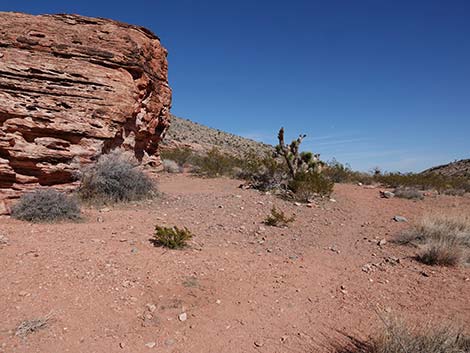 Entrance Station to Calico Basin Trail