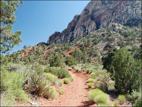 Escarpment Trail