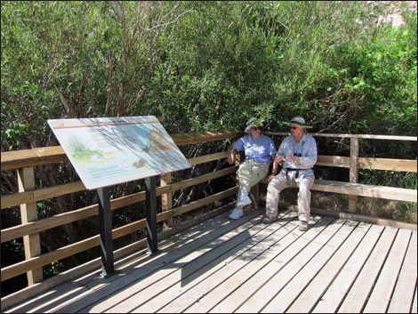 Escarpment Trail