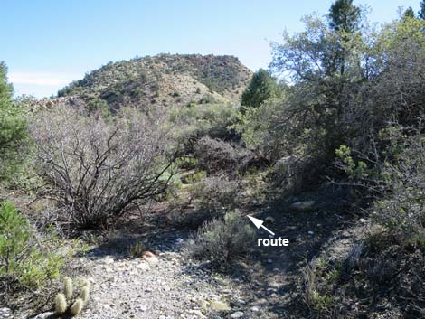 Escarpment Trail