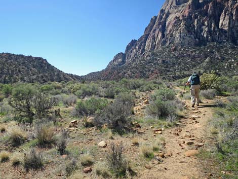 Escarpment Trail