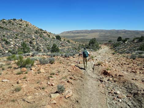 Escarpment Trail