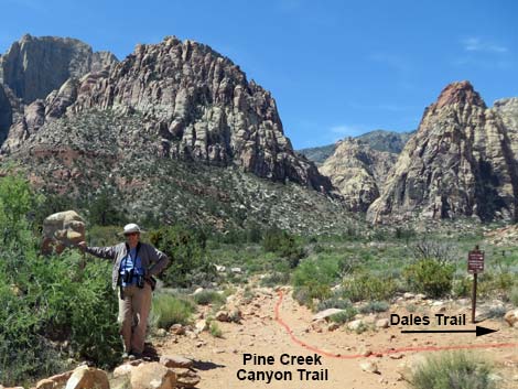 Escarpment Trail