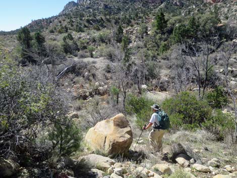 Escarpment Trail