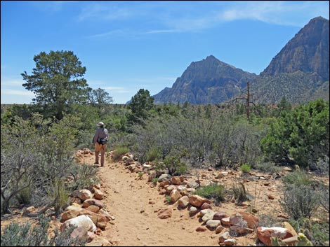 Fire Ecology Trail