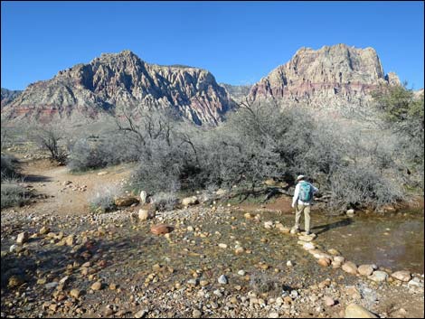 First Creek Canyon