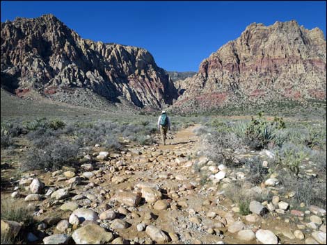 First Creek Canyon