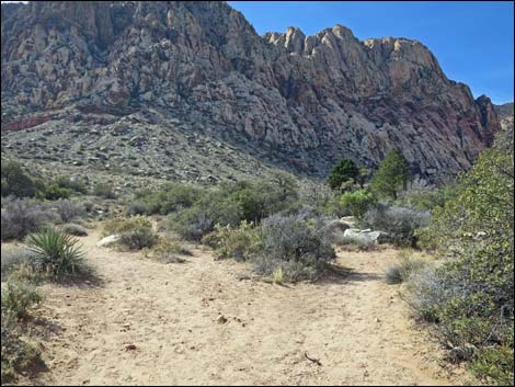 First Creek Canyon