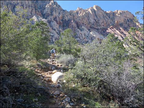 First Creek Canyon