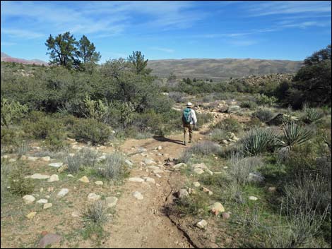 First Creek Canyon