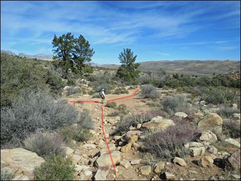 First Creek Canyon