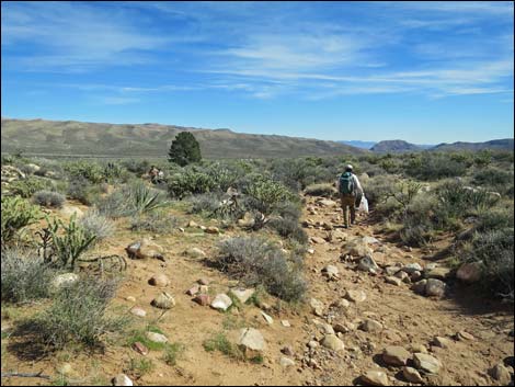 First Creek Canyon